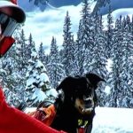 Missing dog captured on trail camera 11 months after avalanche separated him from owner